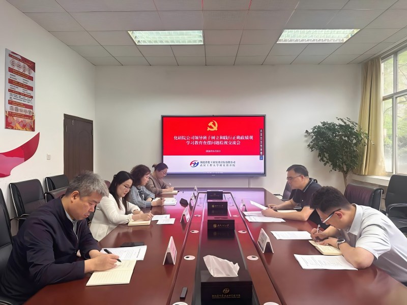 公司举行领导班子树立和践行正确政绩观学习教育查摆问题检视交流会