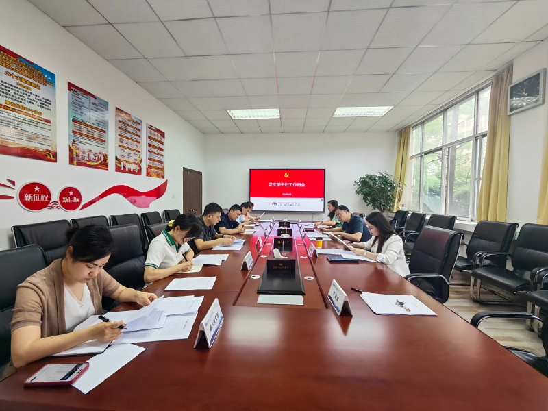 公司召开党支部书记工作例会暨党支部书记履职能力提升班（第二期）